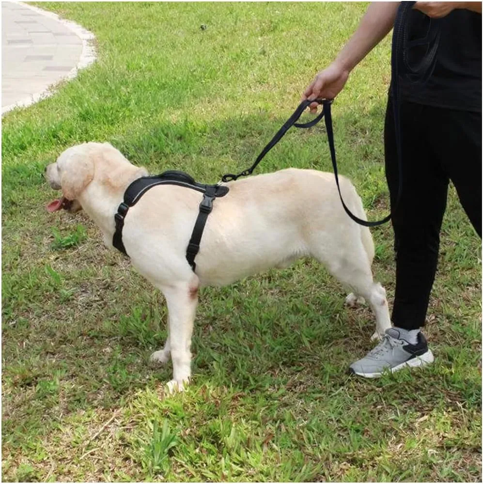 10 FT Traffic Leash with 2 Handle Dog Leash Reflective, Easy Control Training Walking Nylon Two-Double Handle Dog Lead for Large Medium Dogs and Pullers (Black)