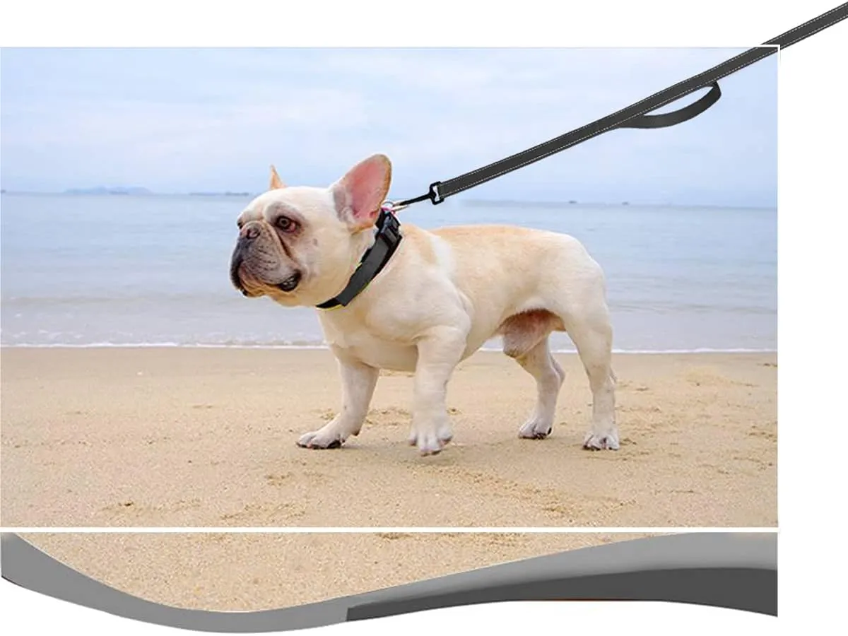 10 FT Traffic Leash with 2 Handle Dog Leash Reflective, Easy Control Training Walking Nylon Two-Double Handle Dog Lead for Large Medium Dogs and Pullers (Black)