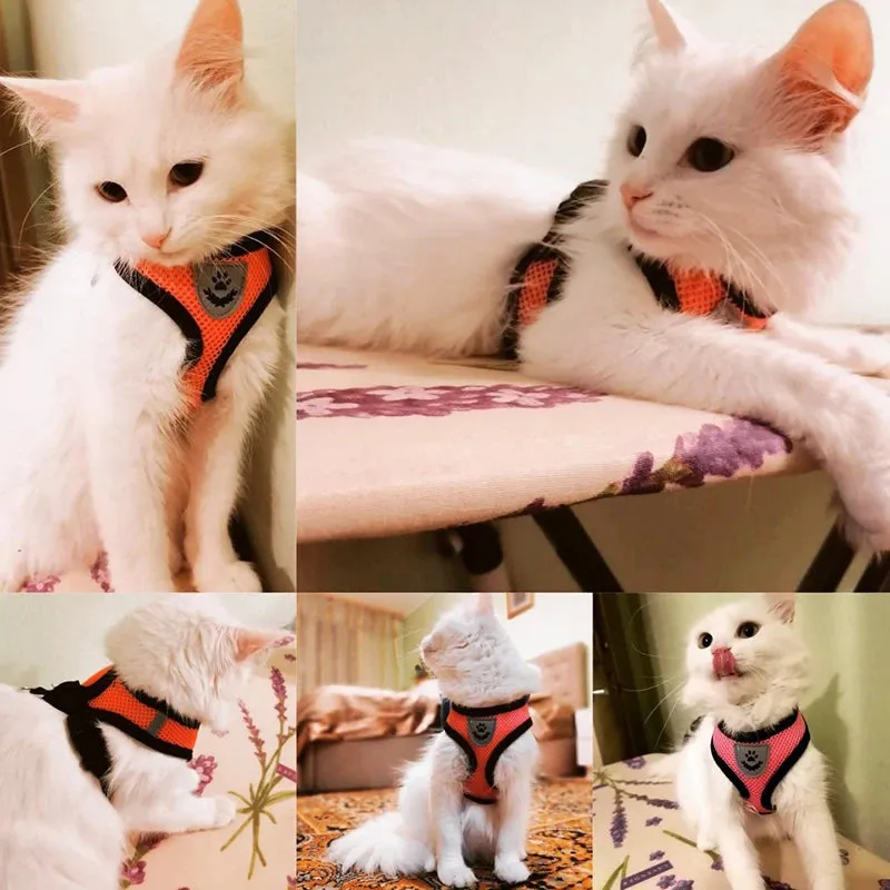 Adjustable Cat Harness & Leash Set