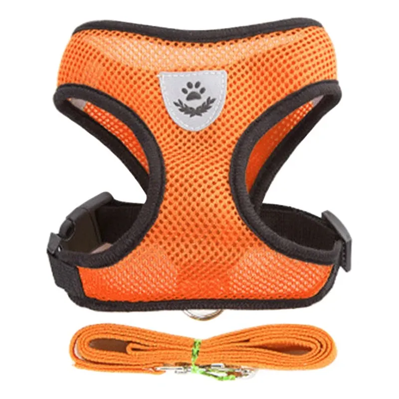 Adjustable Cat Harness & Leash Set