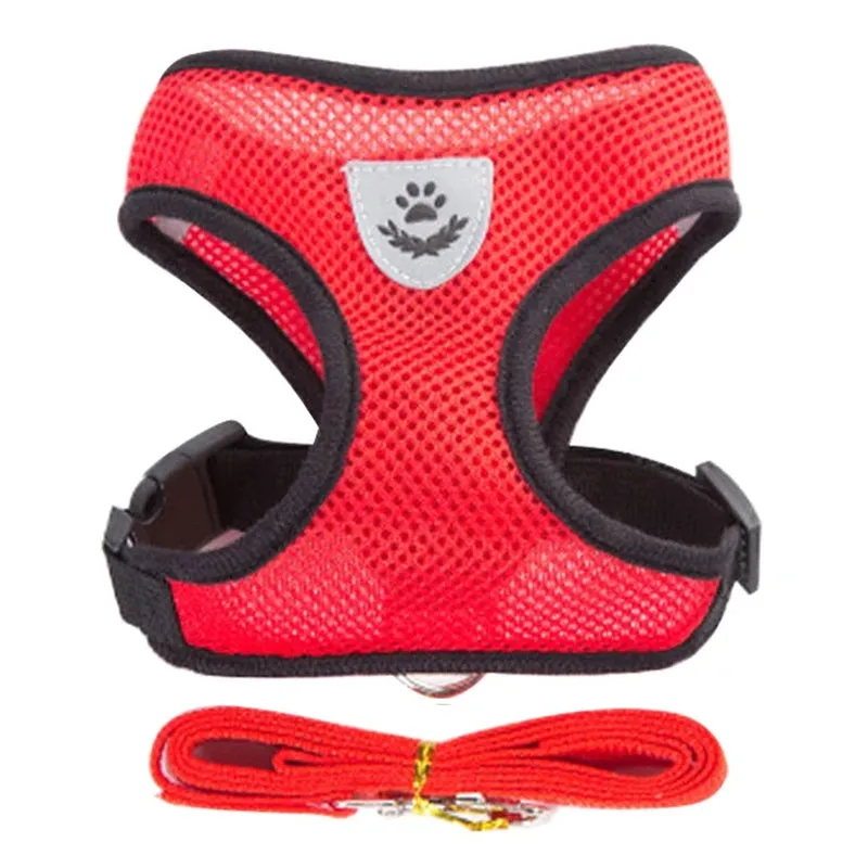 Adjustable Cat Harness & Leash Set
