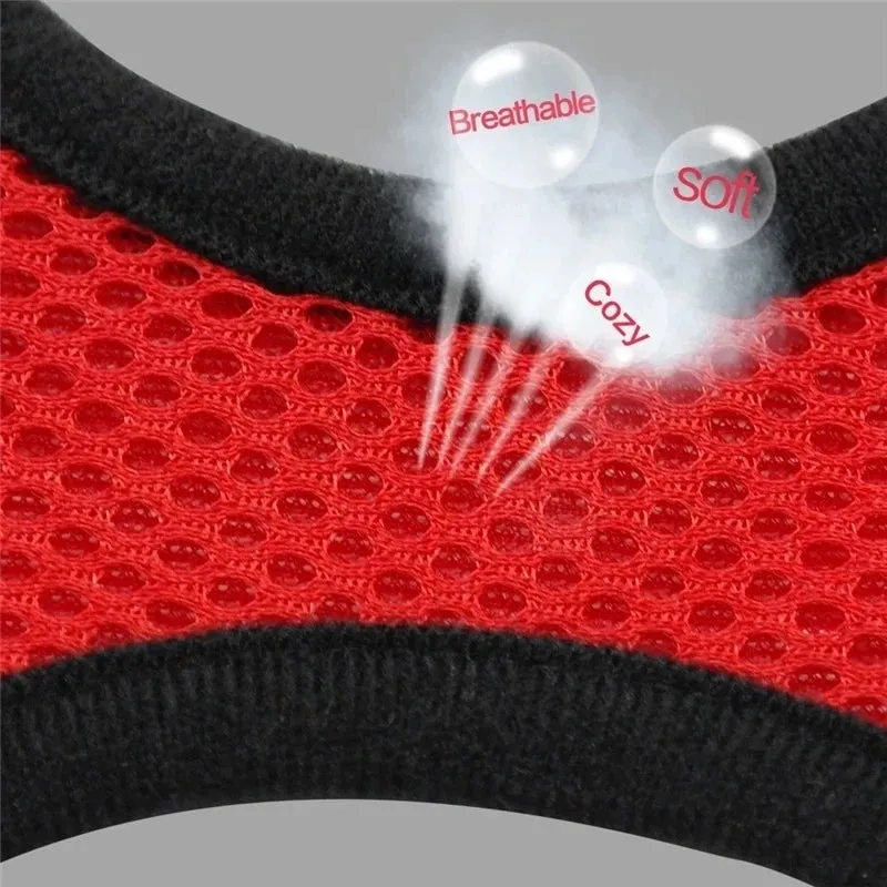 Adjustable Cat Harness & Leash Set