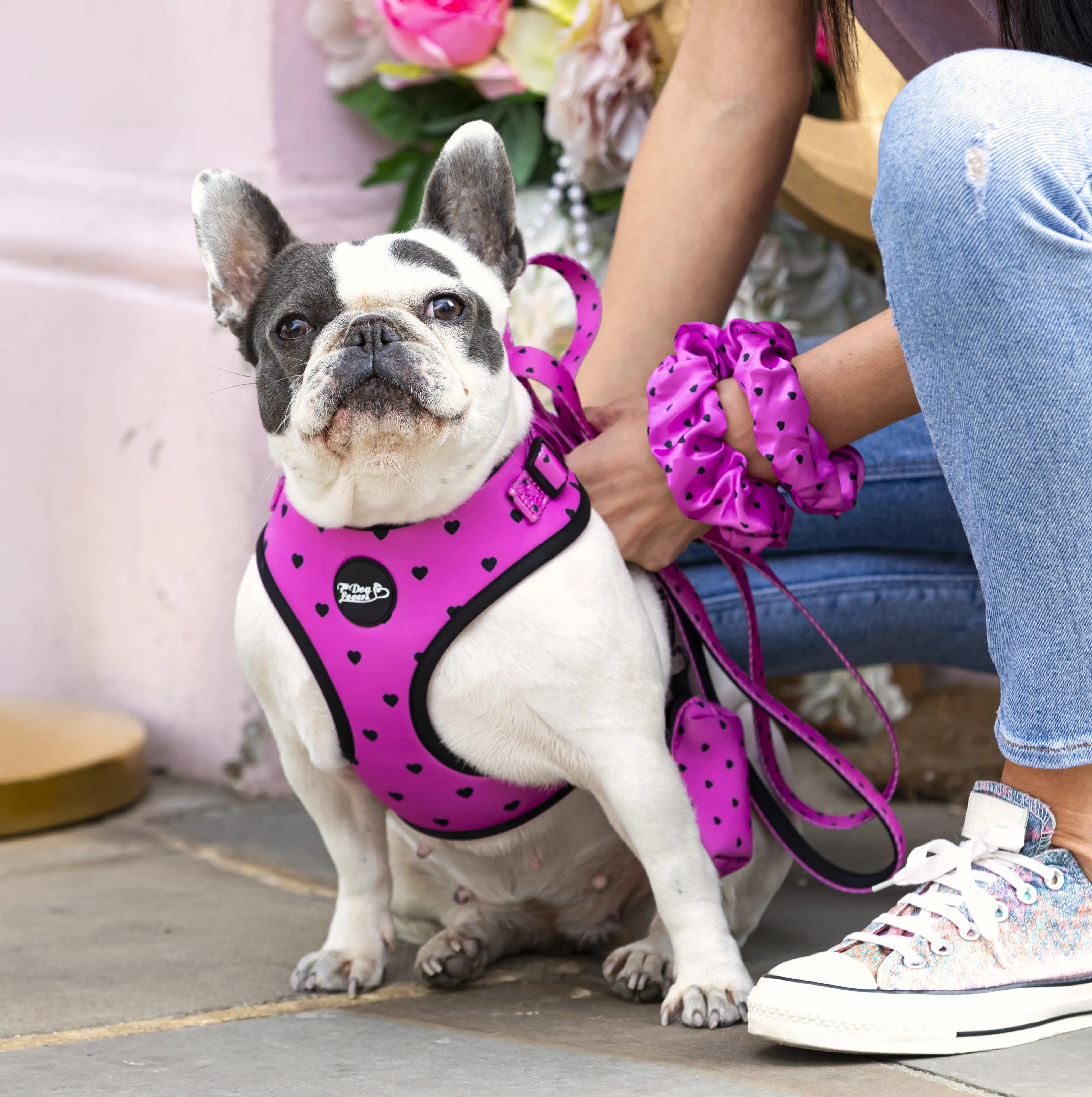 Adjustable Dog Harness Follow Your Heart