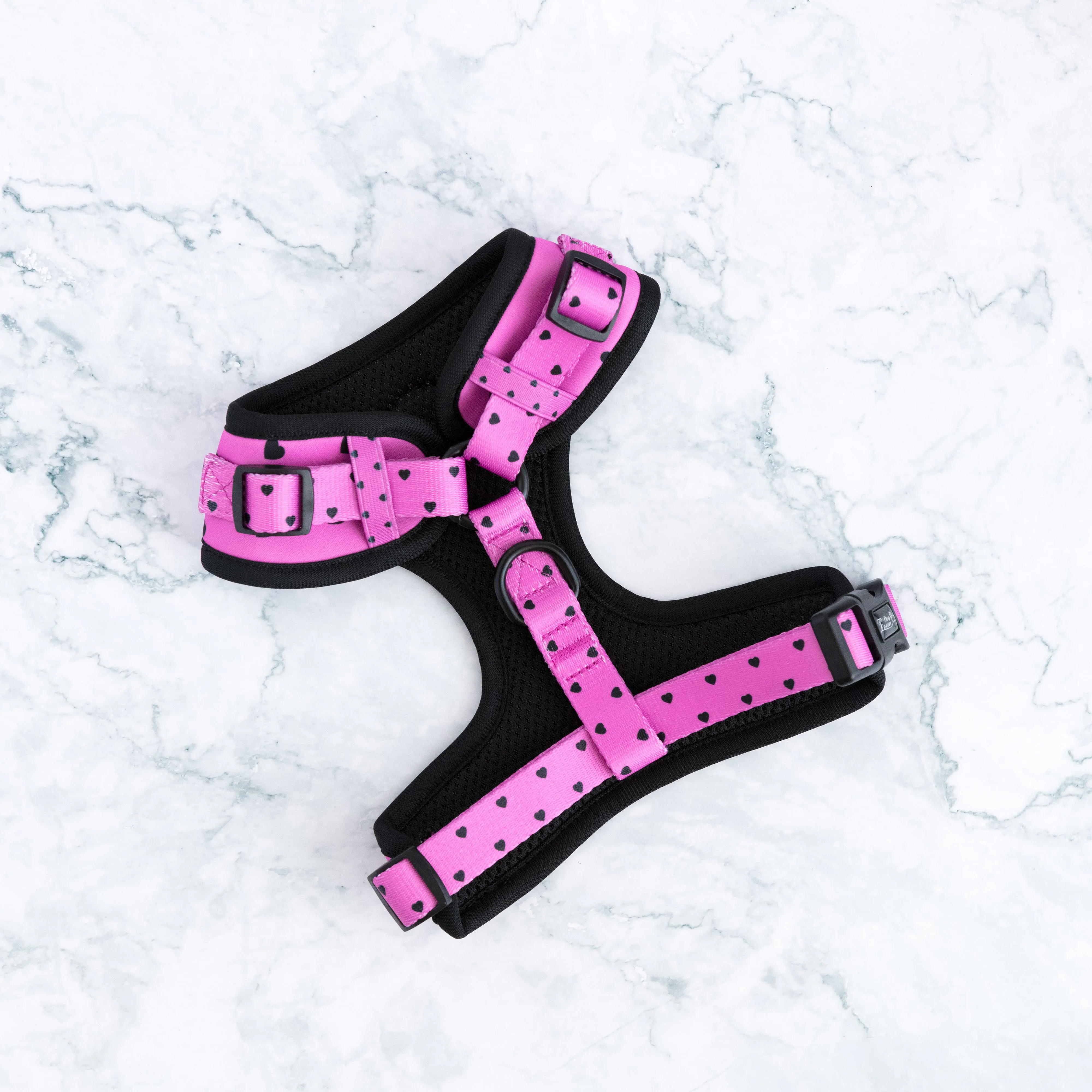 Adjustable Dog Harness Follow Your Heart