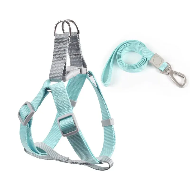 Adjustable Dog Harness Vest with Leash for Small Pets