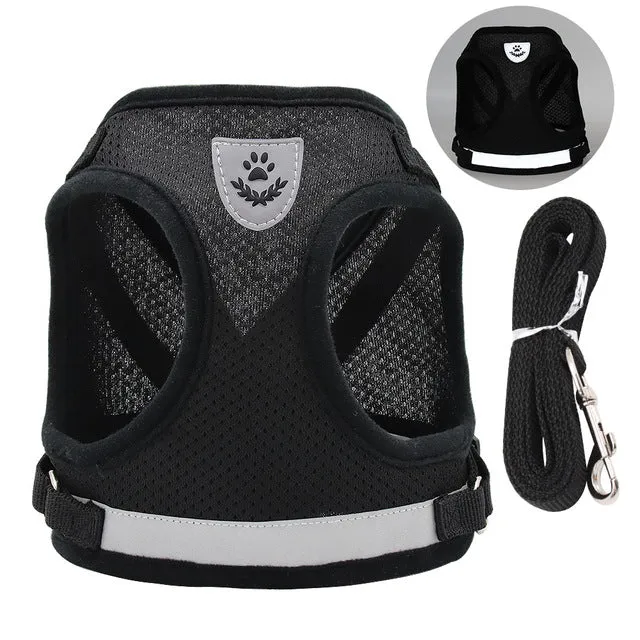 Adjustable Reflective Nylon Mesh Set