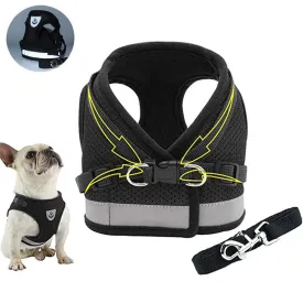 Adjustable Reflective Nylon Mesh Set
