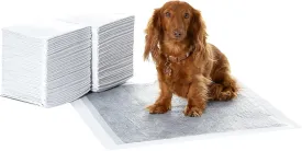 Amazon Basics Dog and Puppy Pee Pads with 5-Layer Leak-Proof Design and Super Absorbent Surface for Potty Training, Odor-Control Carbon, Regular Size, 22 x 22 Inch - Pack of 80, Gray