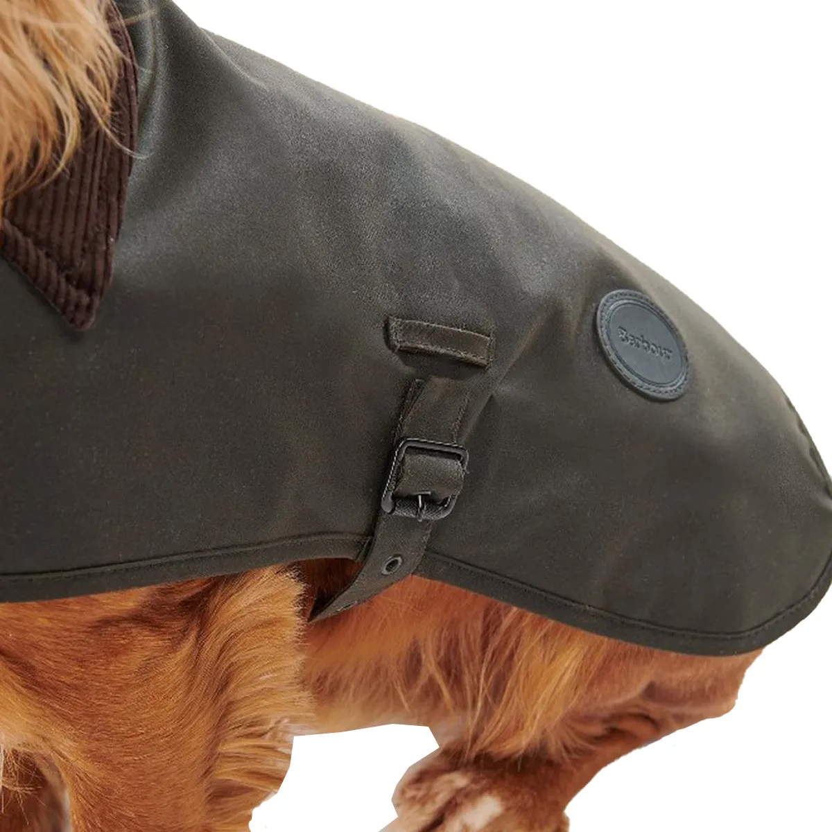 Barbour Wax Dog Coat