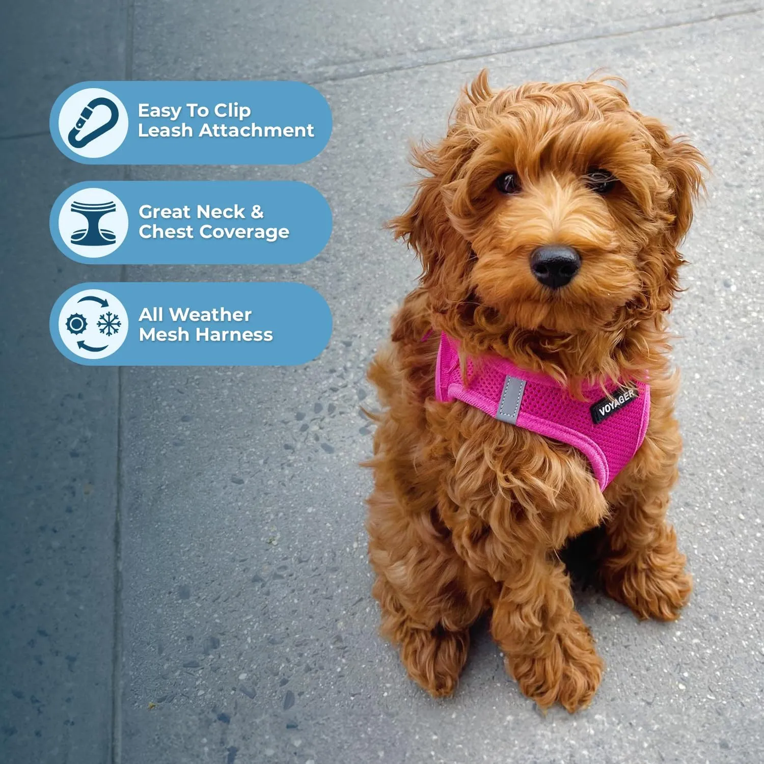 Best Pet Supplies Voyager Step-in Air Dog Harness - All Weather Mesh, Reflective, No Pull Harness for Small, Medium Dogs, Cats - Secure with Hook & Loop Fastener, Buckle, Double D-Rings - Fuchsia, S