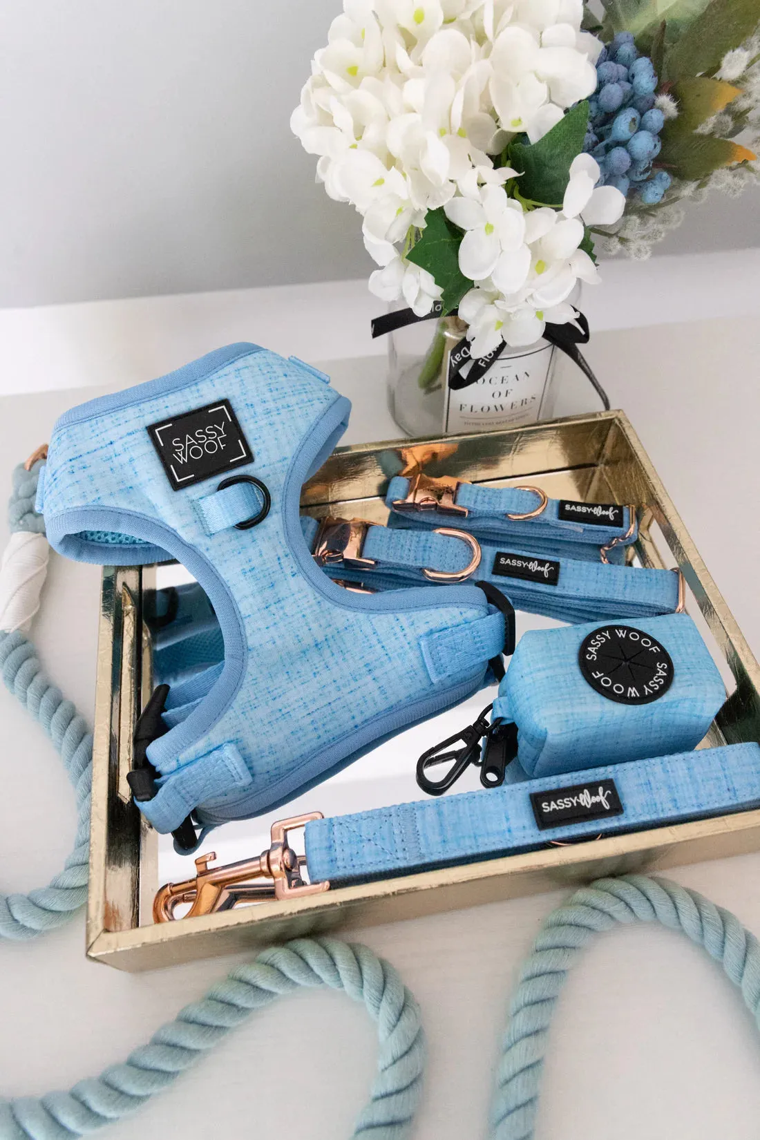 Blue Adjustable Harness