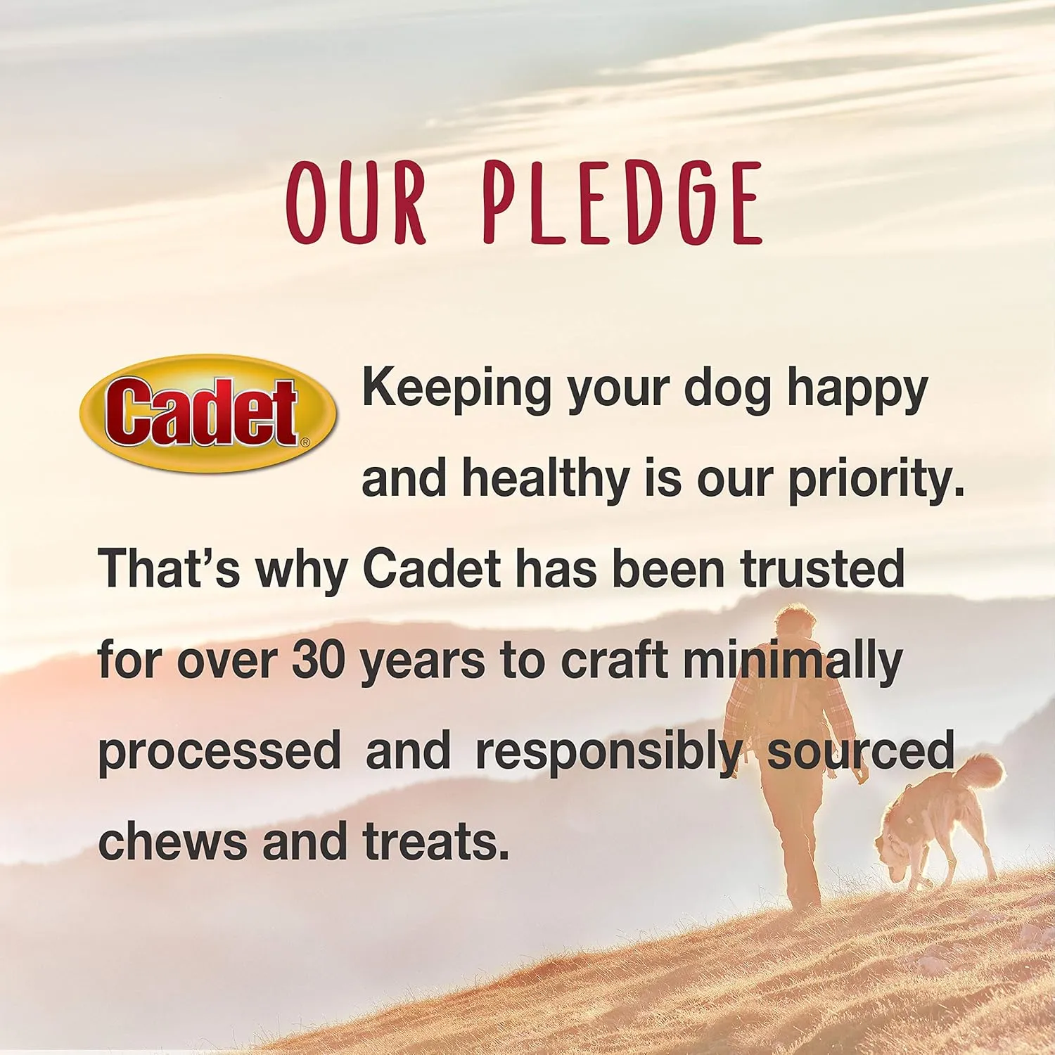 Cadet Gourmet Shish Kabob Dog Treats for Large Dogs, Healthy & Natural Chicken & Sweet Potato Chew Sticks, Beef Hide, Extra Large 10 Inch, 4 Count (Pack of 1)