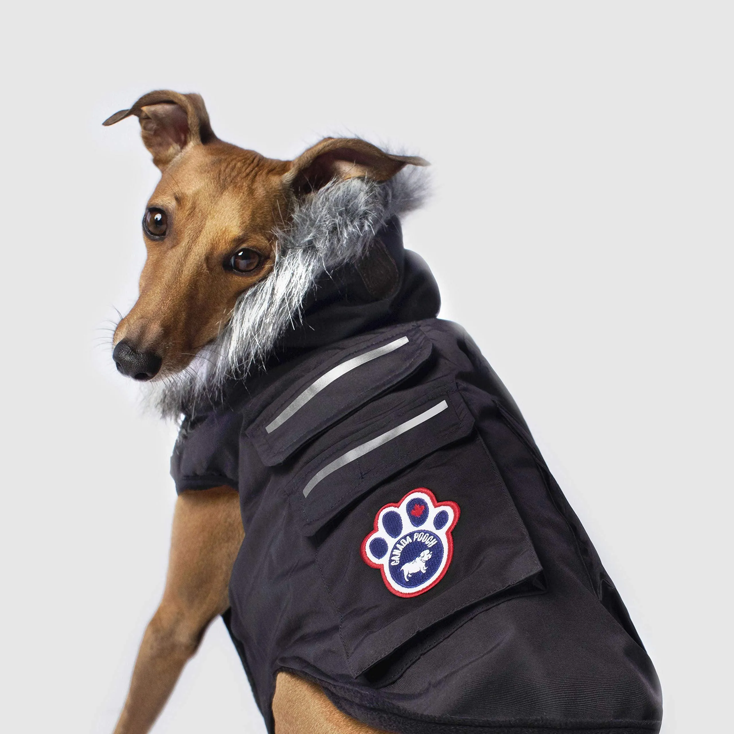 Canada Pooch Everest Explorer Size 20 Black Fleece Lined Insulated Dog Coat