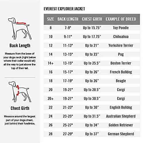 Canada Pooch Everest Explorer Size 20 Black Fleece Lined Insulated Dog Coat