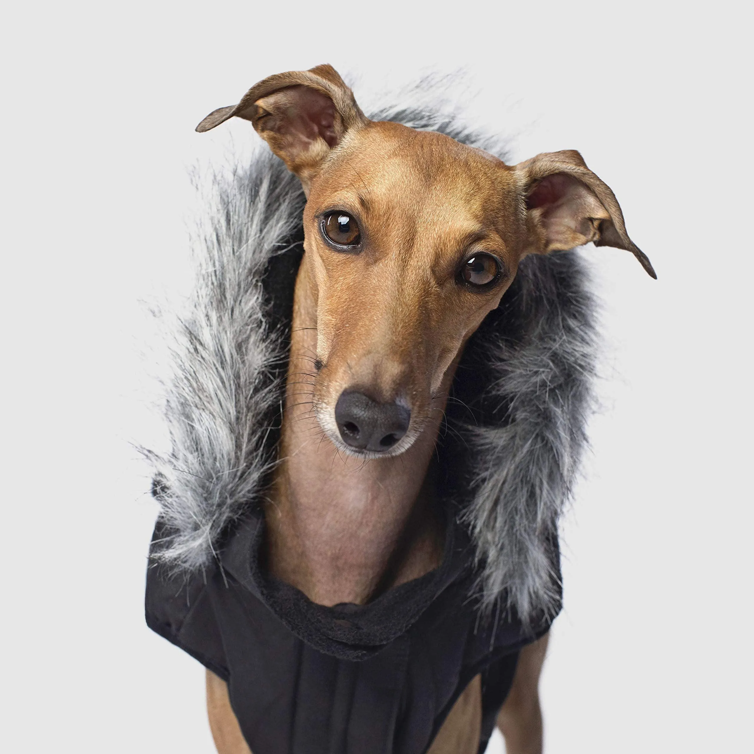 Canada Pooch Everest Explorer Size 20 Black Fleece Lined Insulated Dog Coat