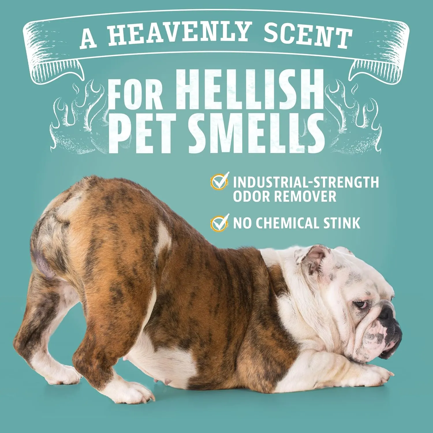 Complete Pet Odor Removal Kit
