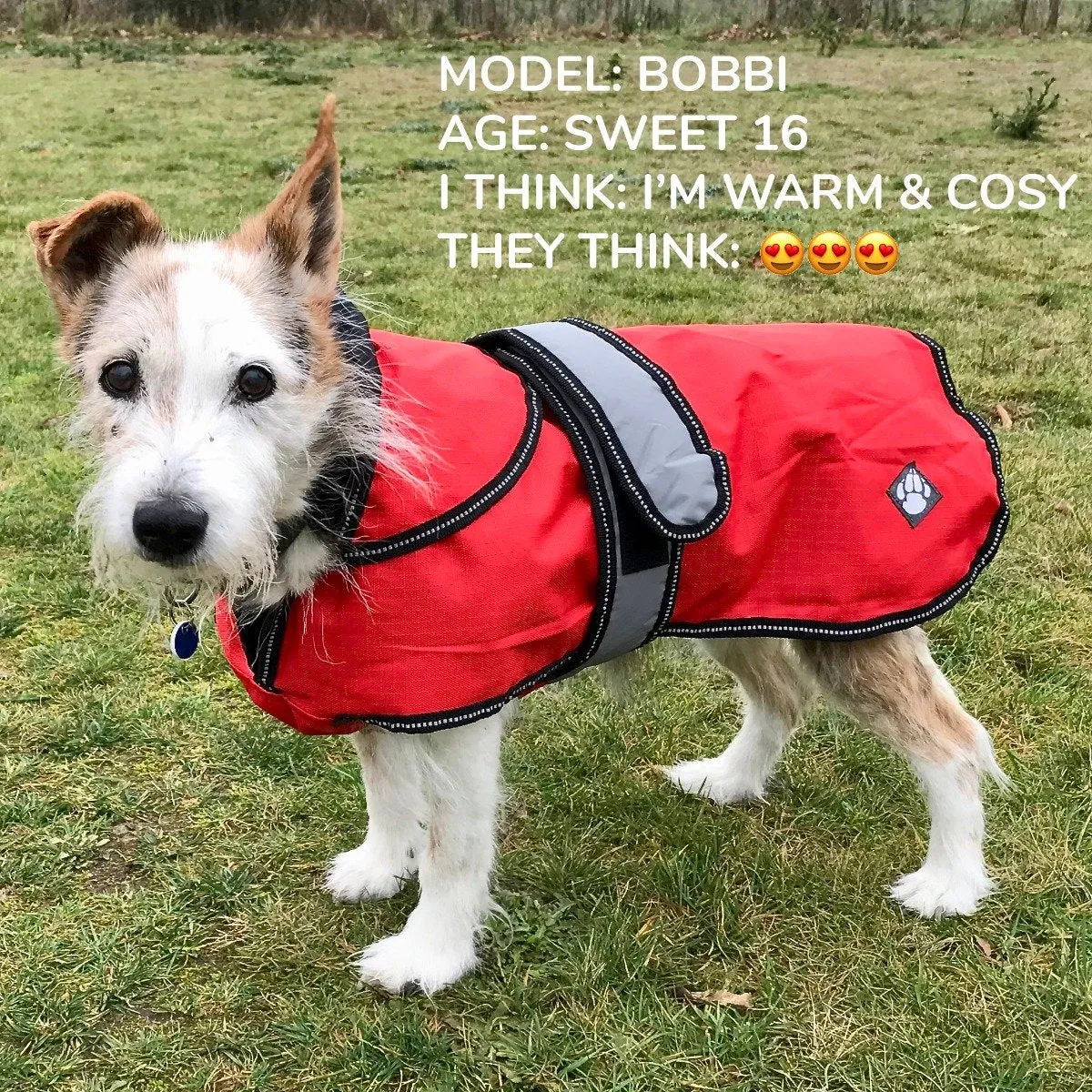 Danish Design - 2 In 1 Dog Coat - Orange - 30cm (12")