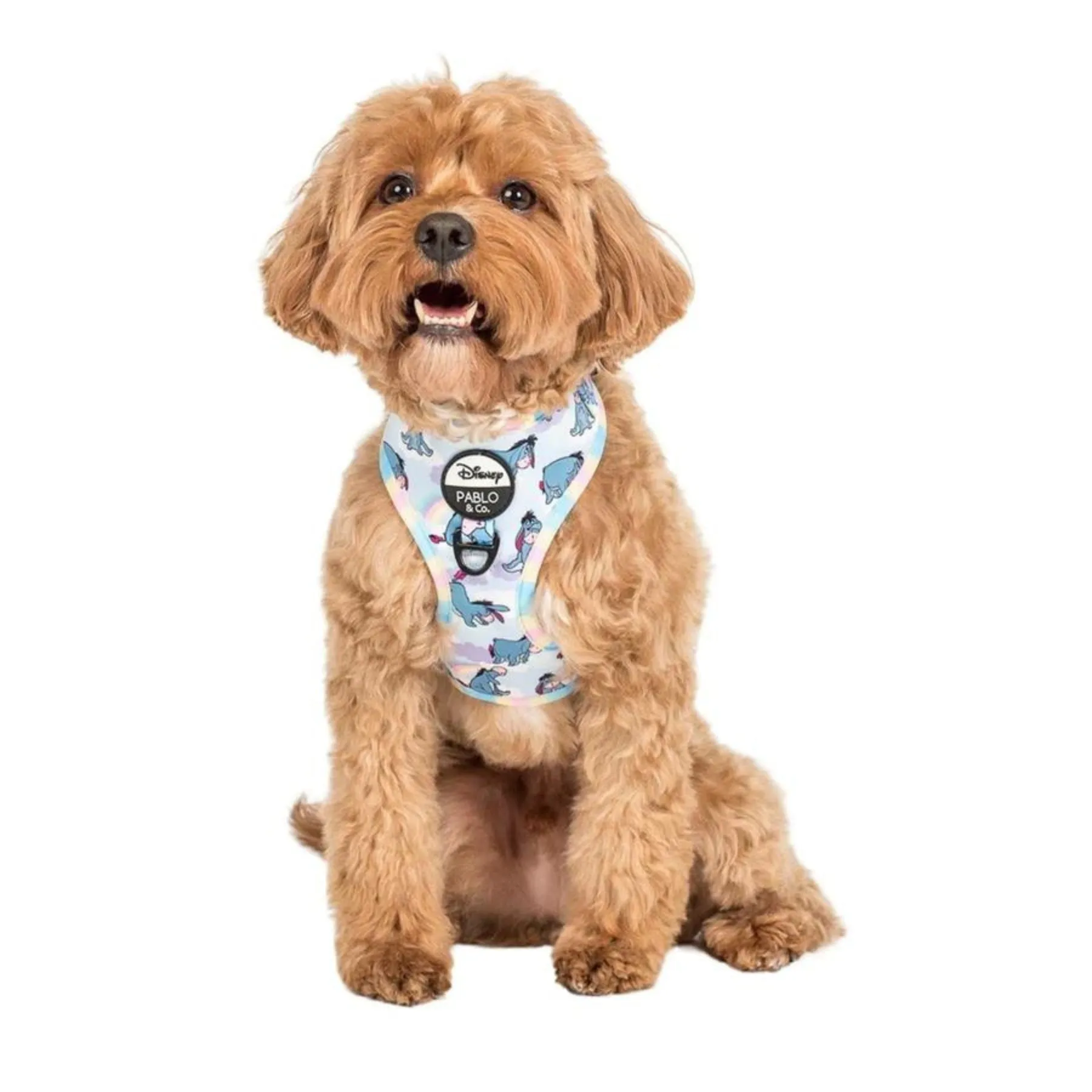 Eeyore Adjustable Harness