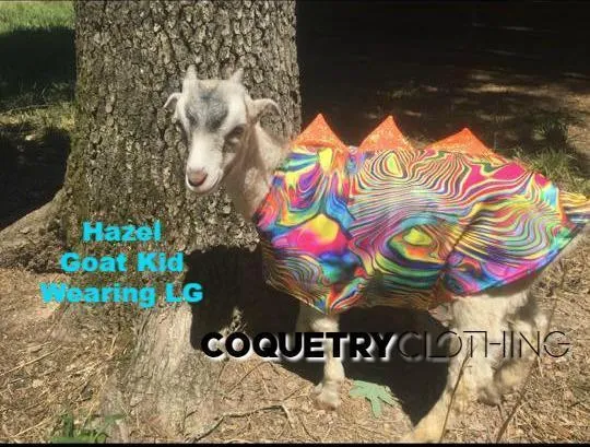 Galaxy UV Glow Pet Shirt
