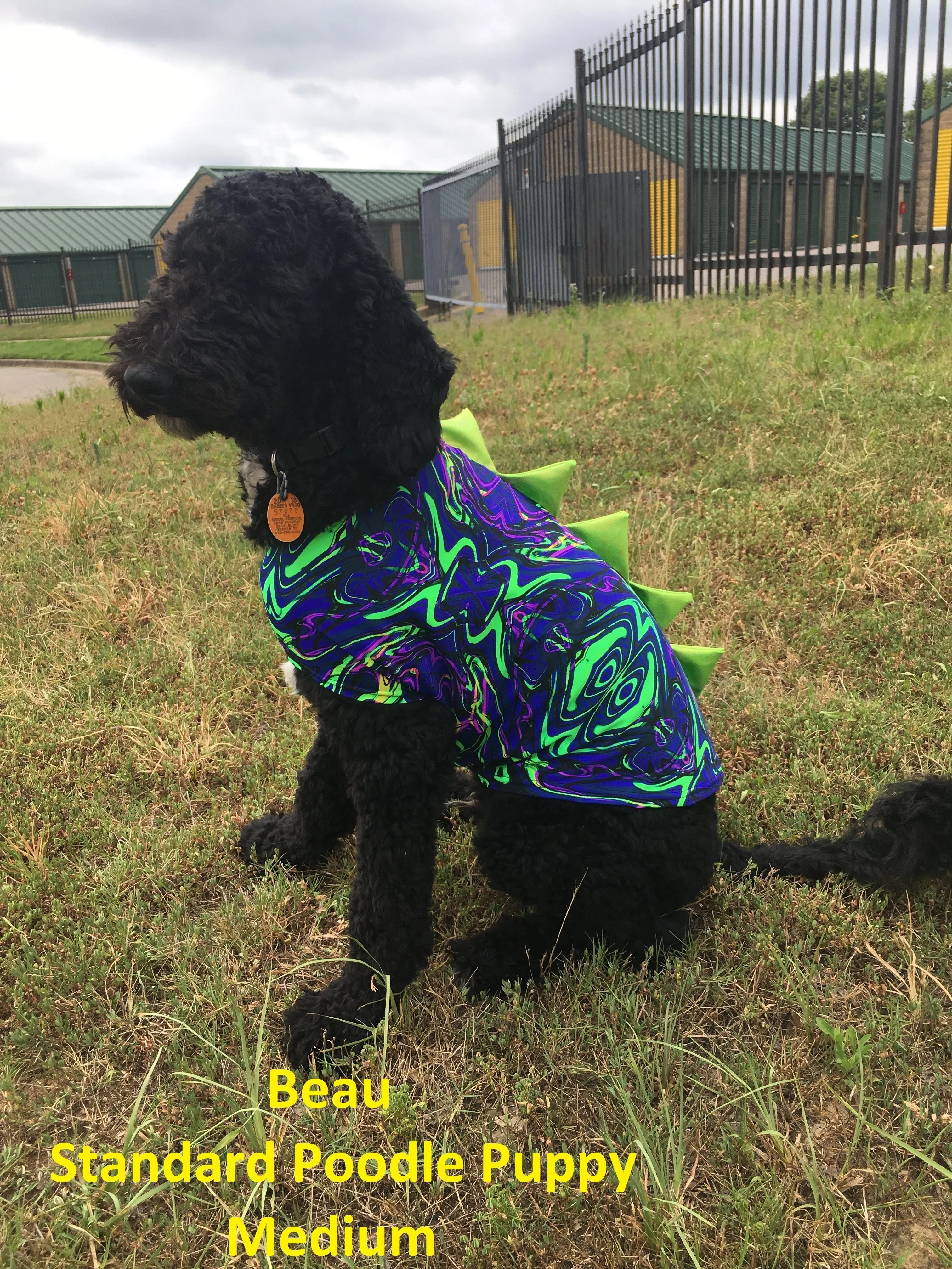 Galaxy UV Glow Pet Shirt