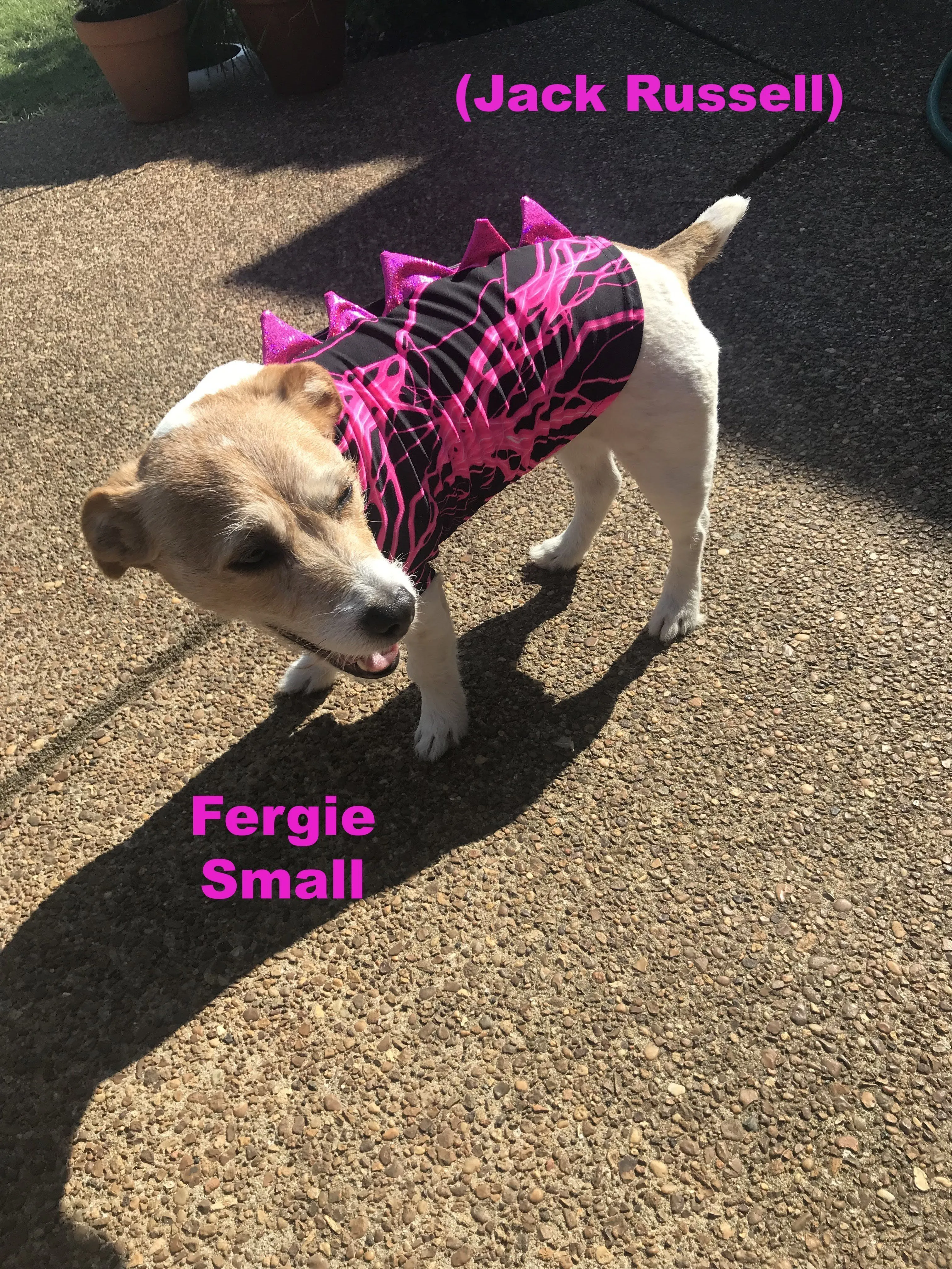 Galaxy UV Glow Pet Shirt