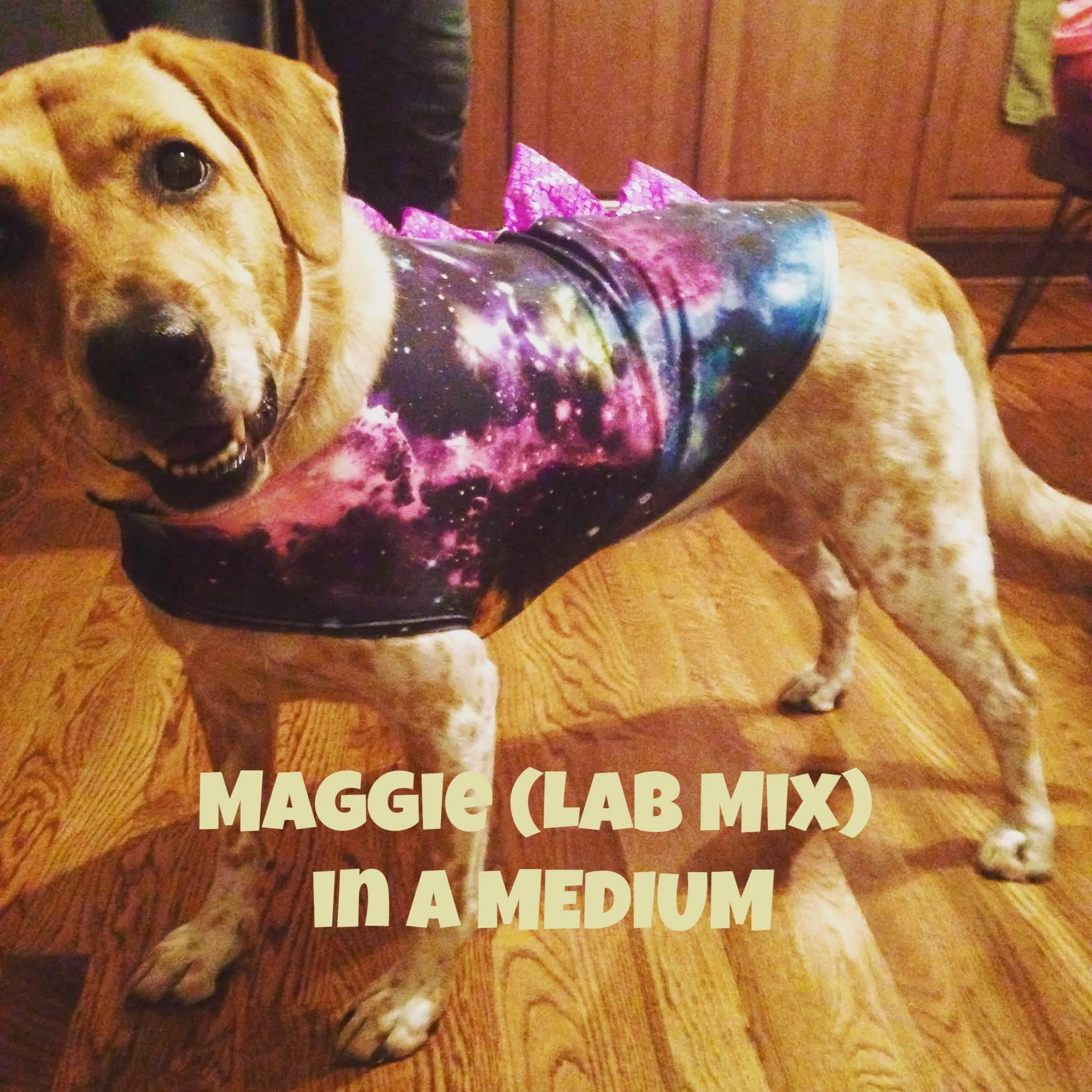 Galaxy UV Glow Pet Shirt