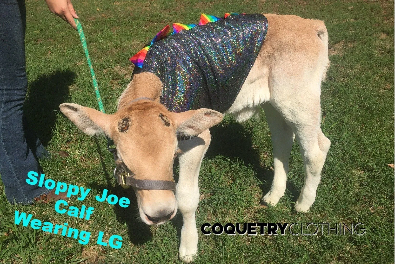 Galaxy UV Glow Pet Shirt