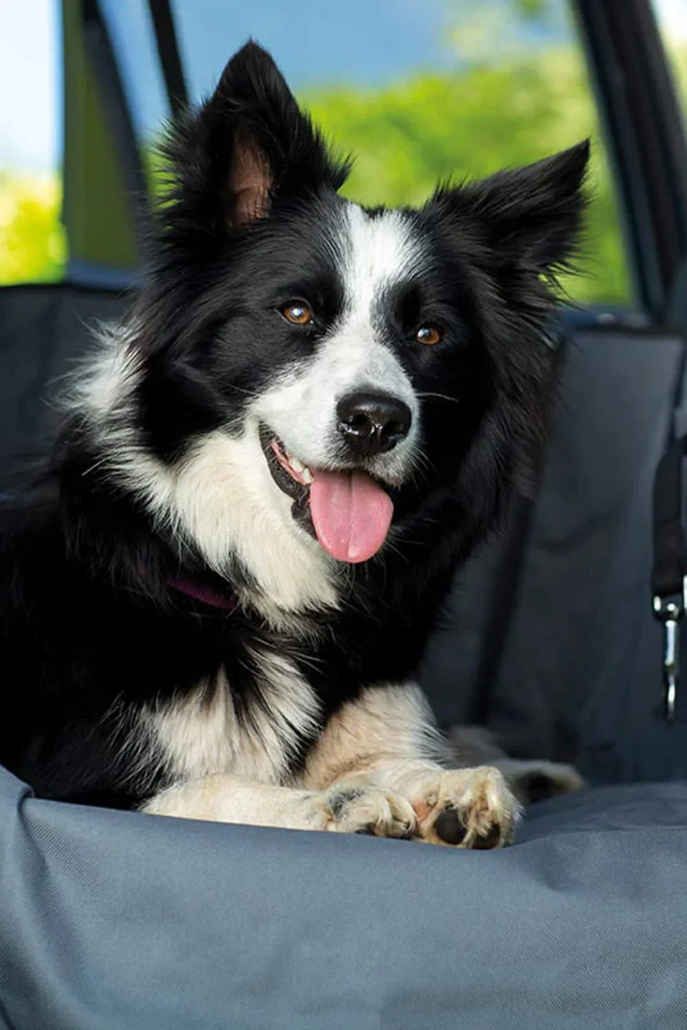 Henry Wag Pet Car Hammock