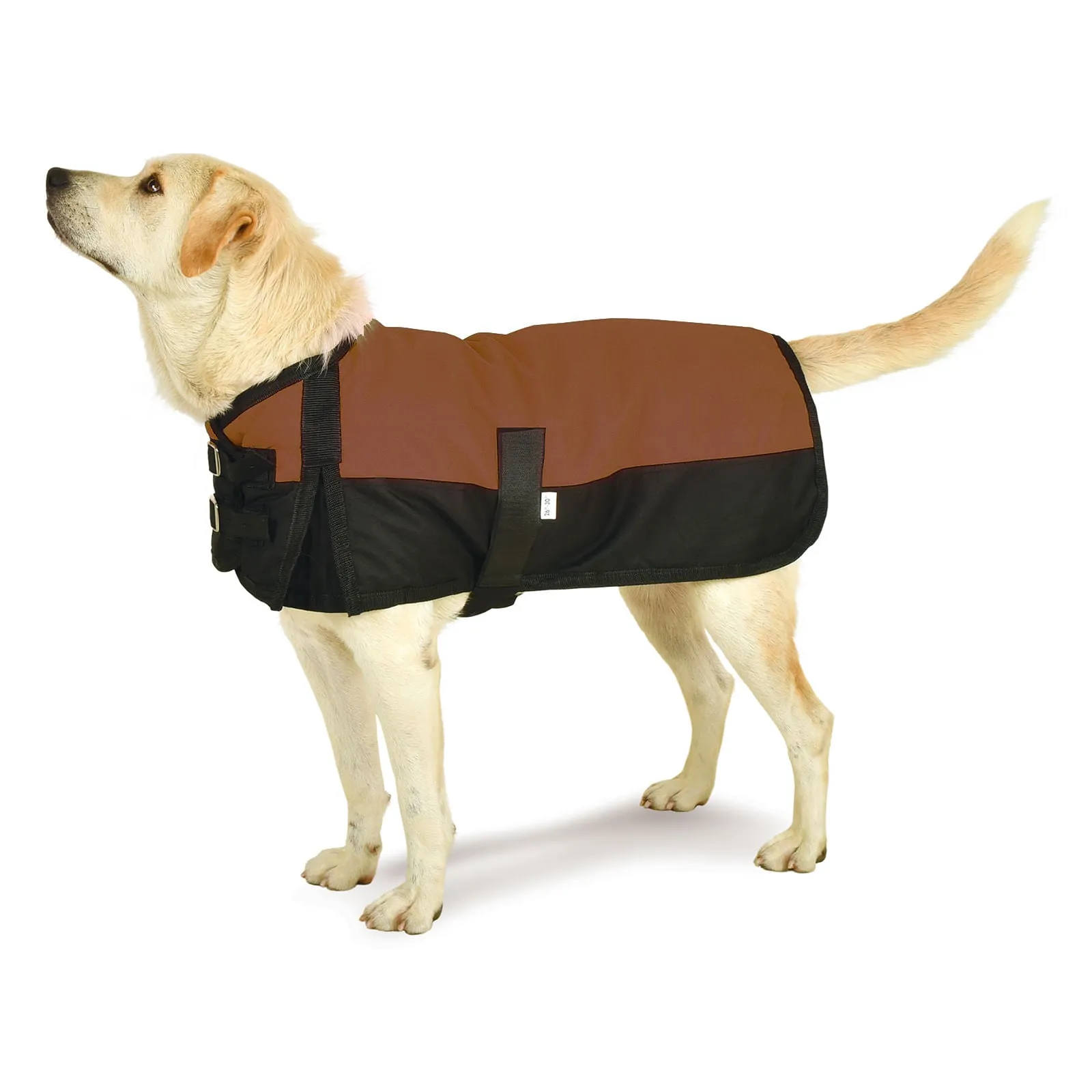 Jeffers Premium Winter Dog Coat