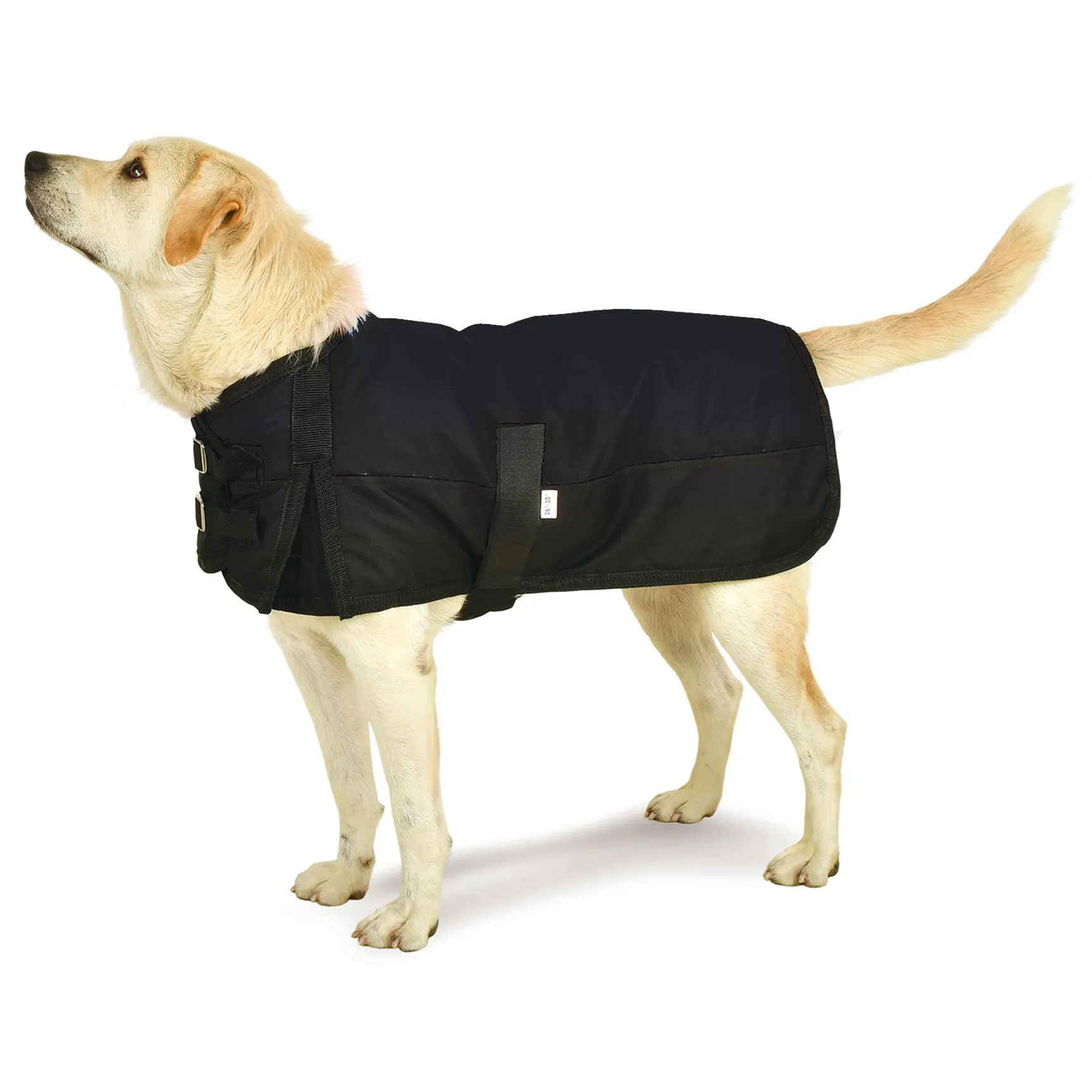 Jeffers Premium Winter Dog Coat