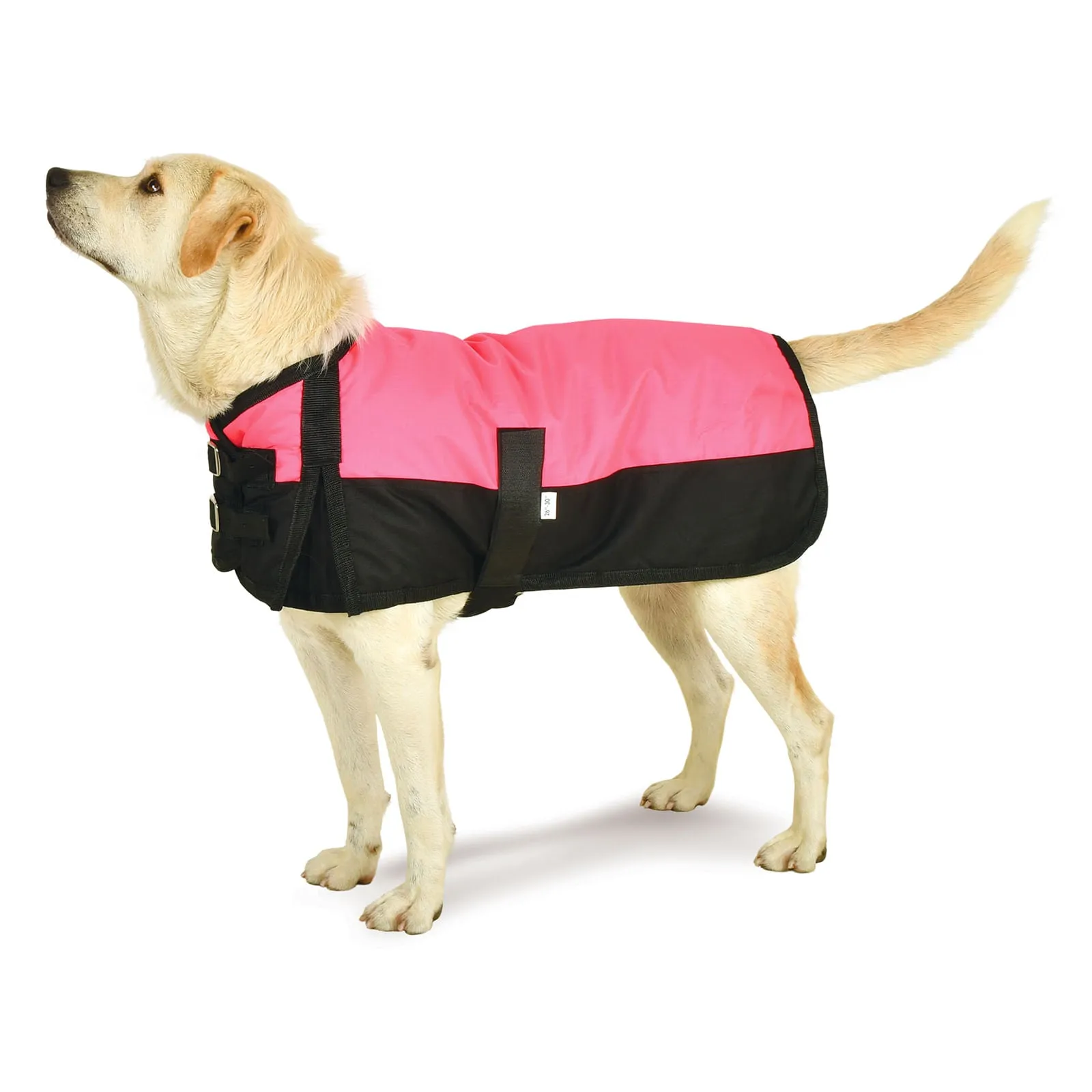 Jeffers Premium Winter Dog Coat