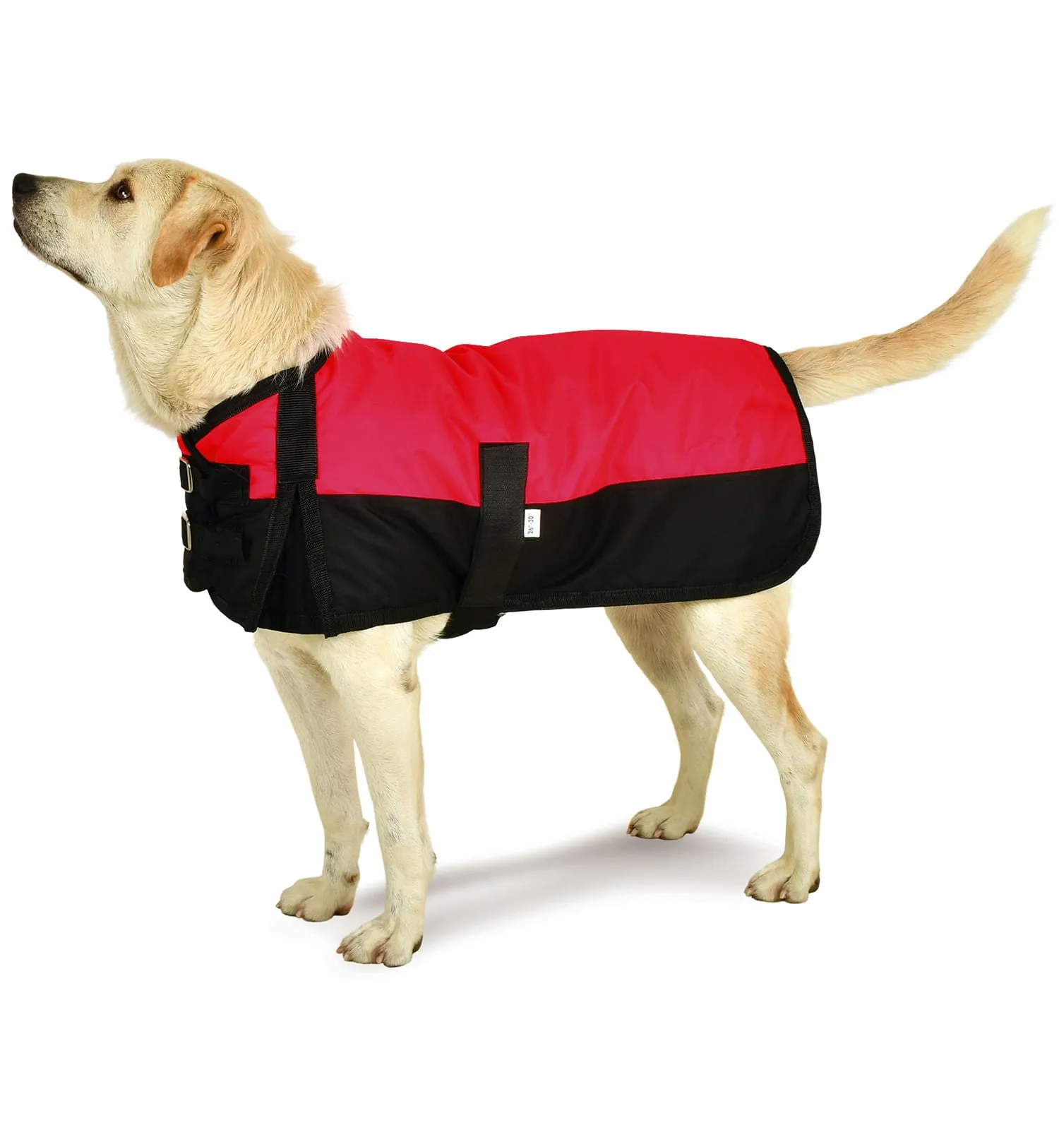 Jeffers Premium Winter Dog Coat