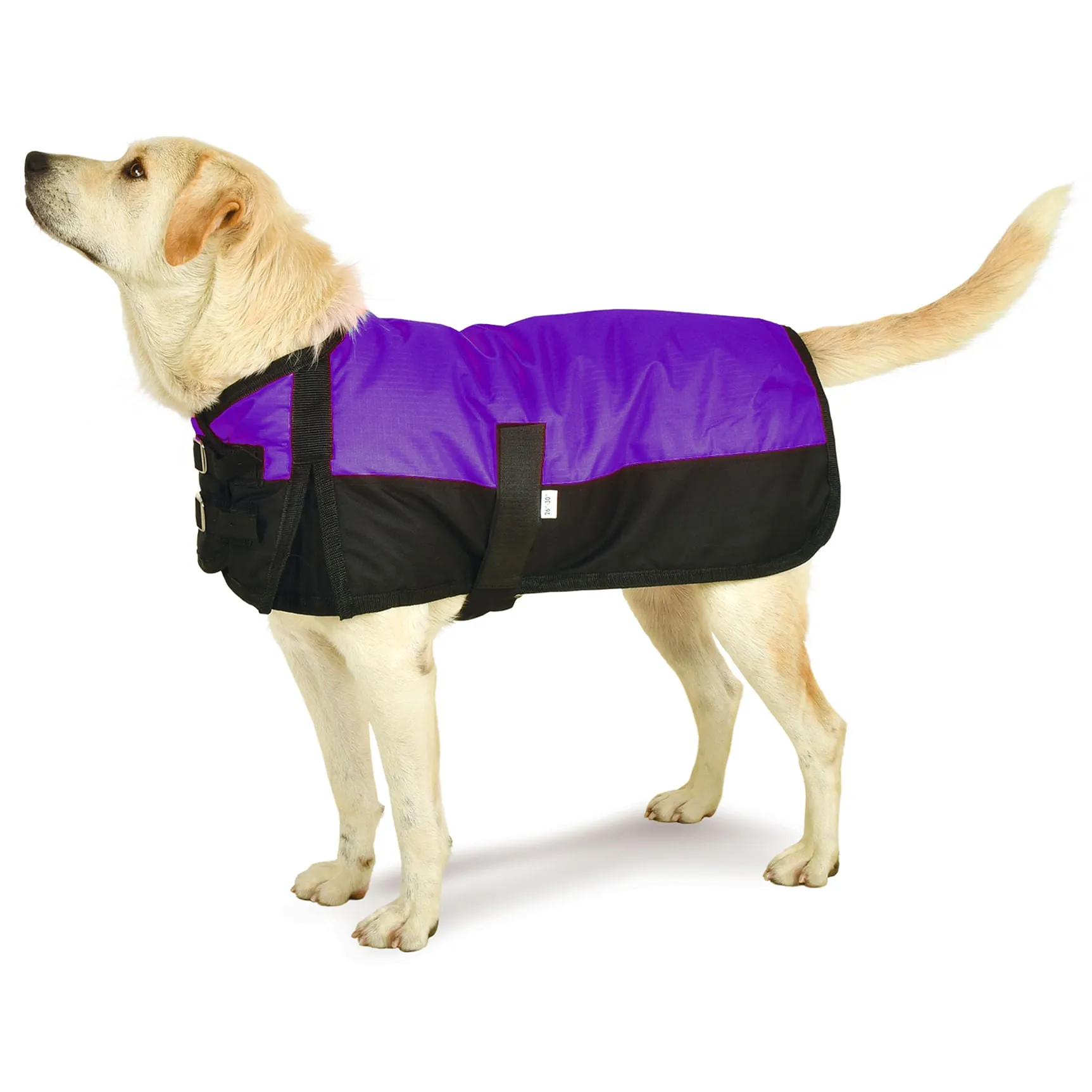 Jeffers Premium Winter Dog Coat