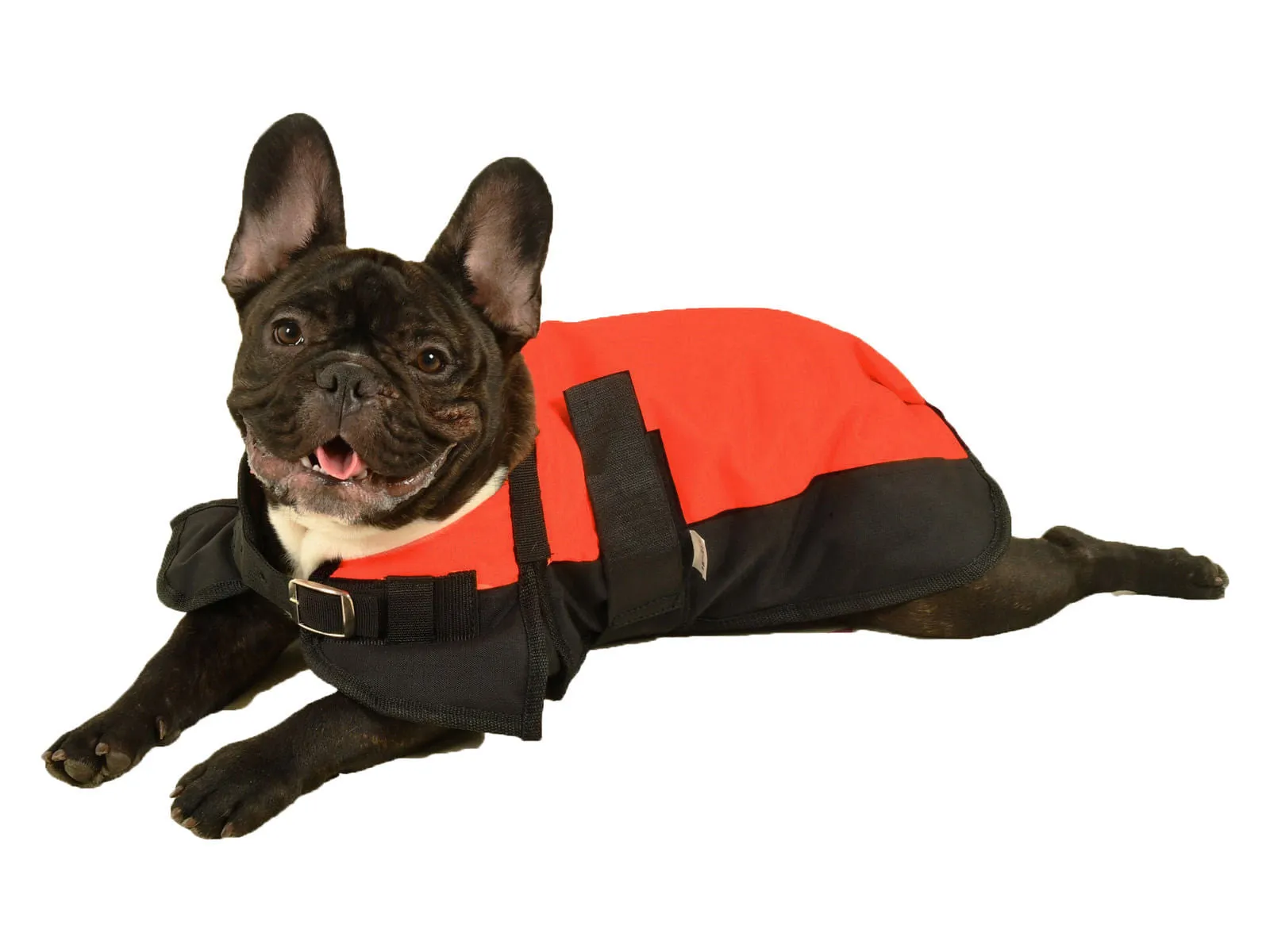 Jeffers Premium Winter Dog Coat