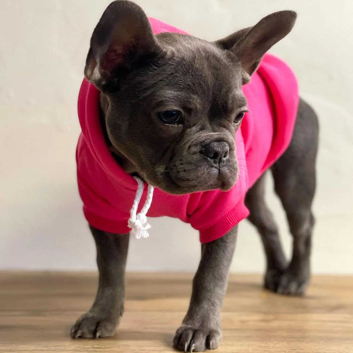 Juneteenth Dog Hoodie Fleece Lined Pullover Sweatshirt with Leash Hole (Green, X-Small 751)