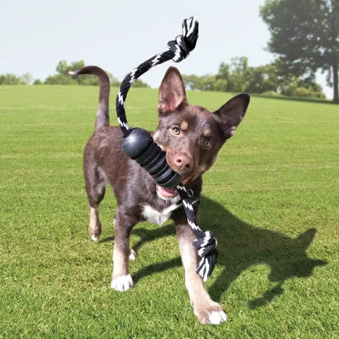 KONG® EXTREME DENTAL WITH ROPE
