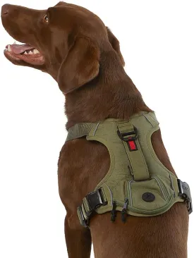 KONG Ultra Durable Waste Bag Harness (XL, Green)