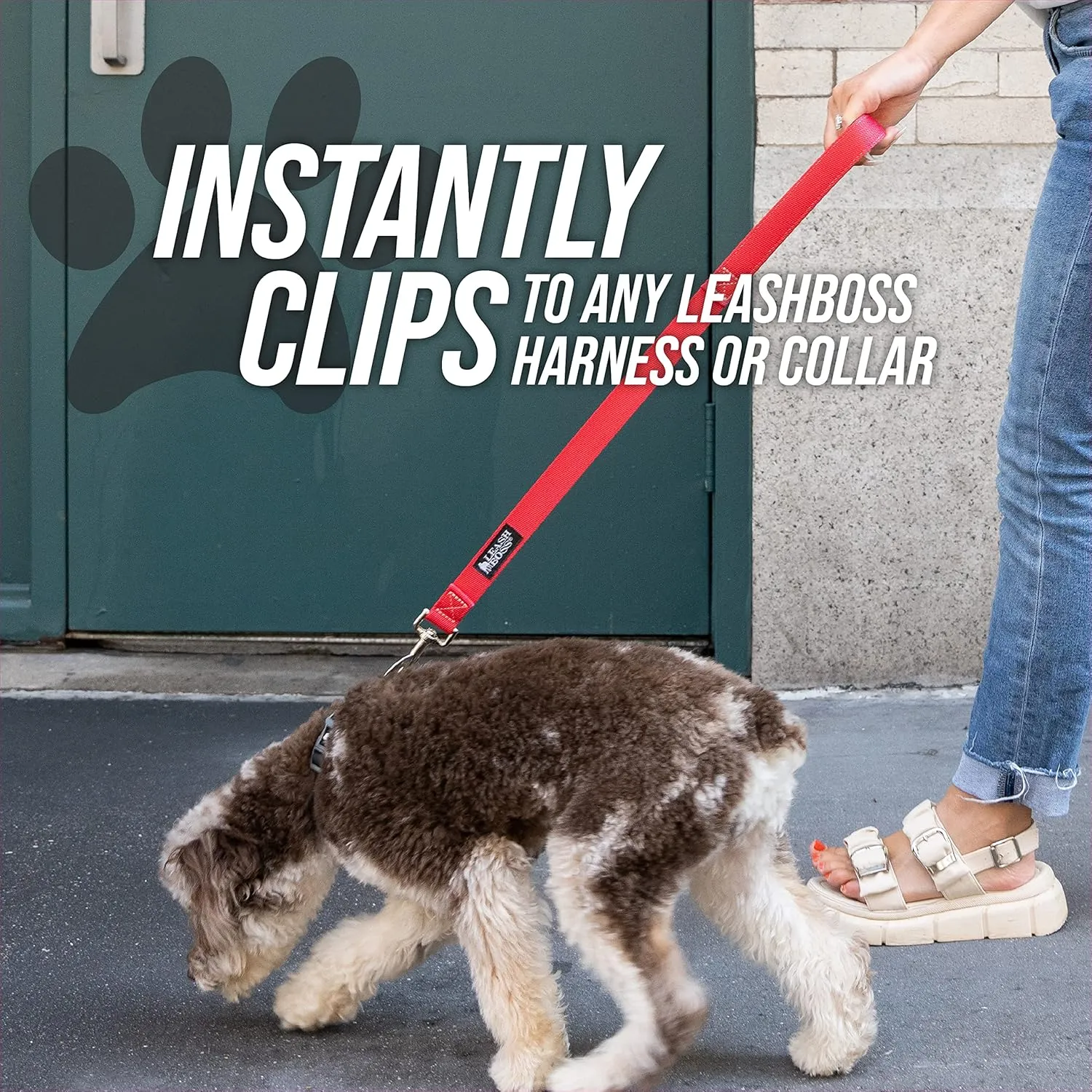 Leash Boss Short Dog Leash With Padded Traffic Handle for Training and Walking | Nylon Lead for Large, Medium, Small Dogs | Total Comfort