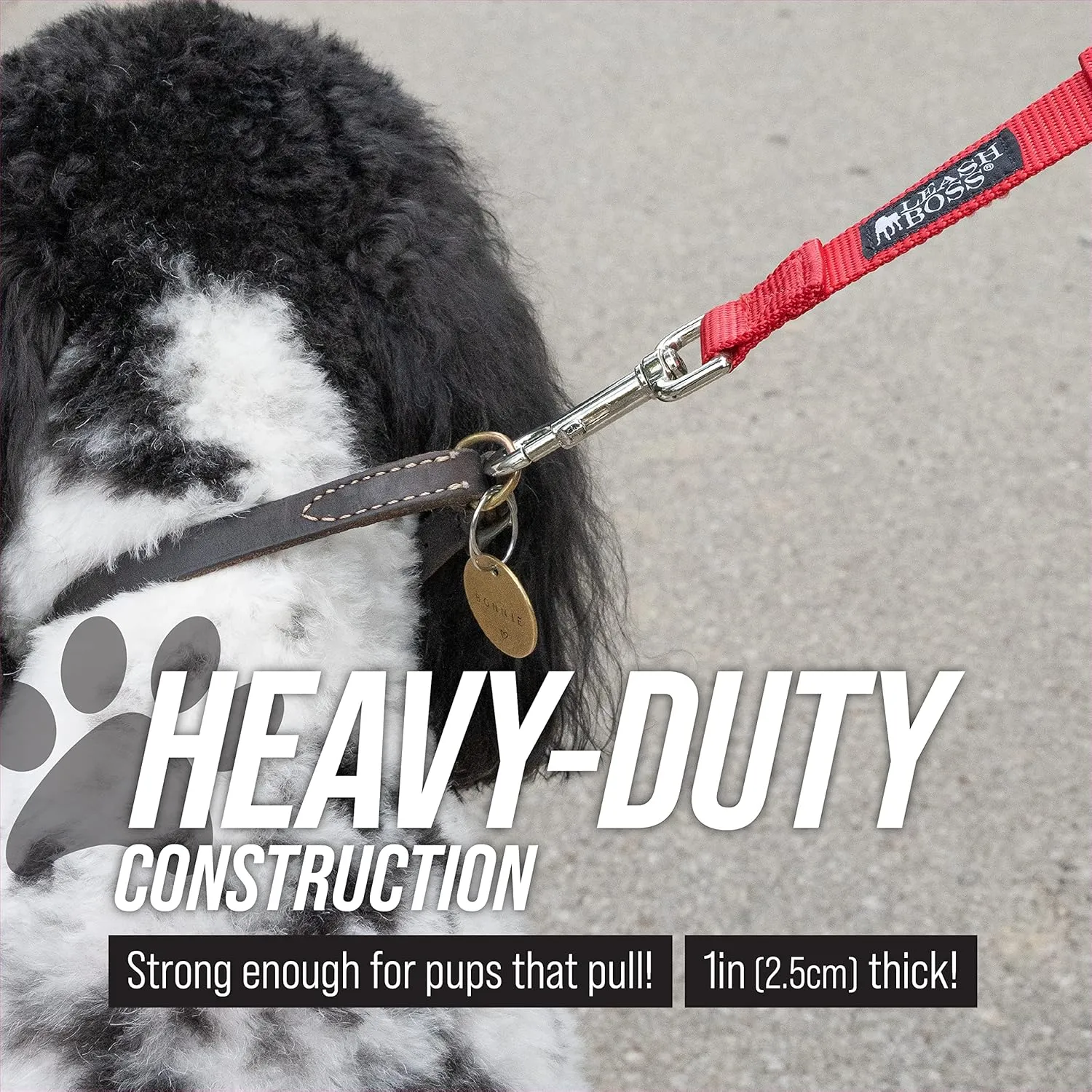 Leash Boss Short Dog Leash With Padded Traffic Handle for Training and Walking | Nylon Lead for Large, Medium, Small Dogs | Total Comfort