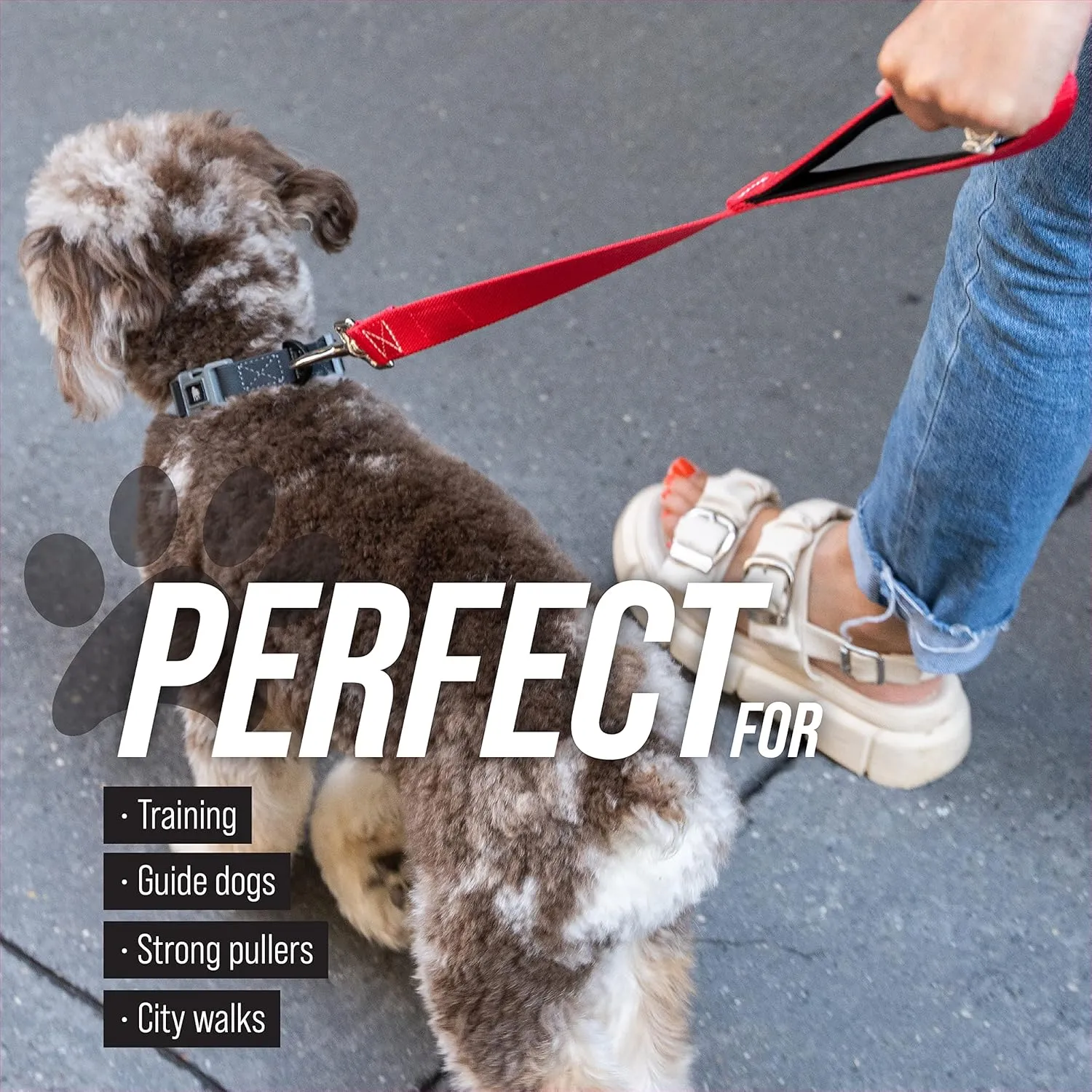 Leash Boss Short Dog Leash With Padded Traffic Handle for Training and Walking | Nylon Lead for Large, Medium, Small Dogs | Total Comfort