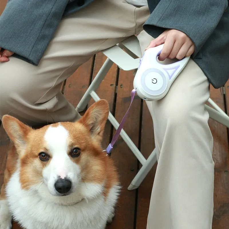 Light Up the Night Led Lights Automatic Dog Leash