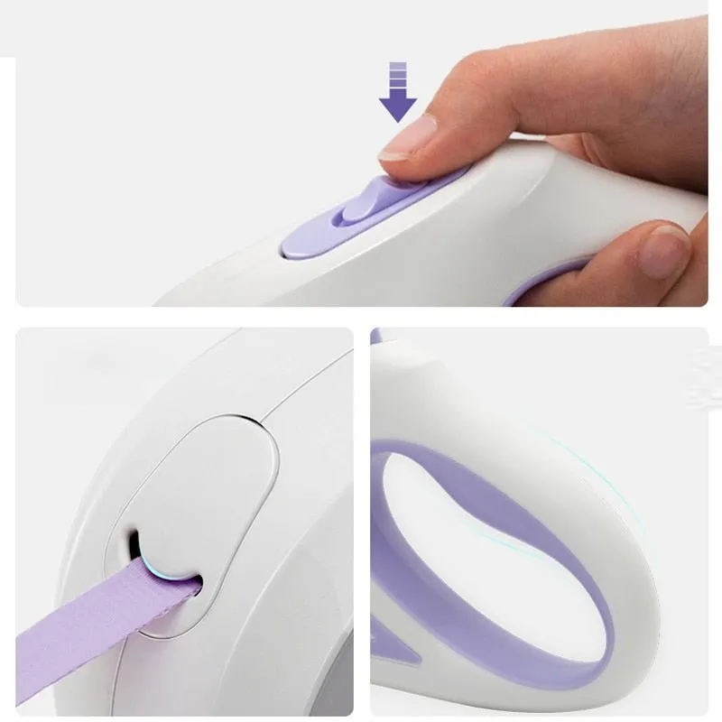 Light Up the Night Led Lights Automatic Dog Leash