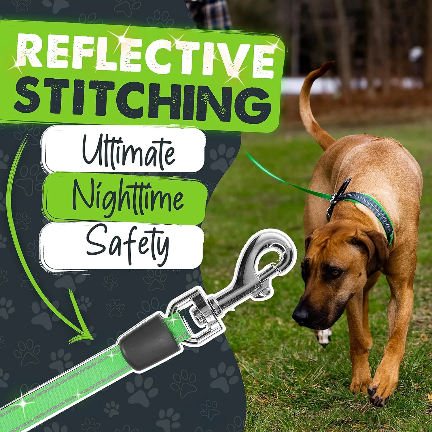 Mighty Paw Retractable Leash with Built-in Poop Bag Holder | 16' Long Retractable Dog Leash for Small Dogs, Medium Breeds & Large Pets with Tape for Quick Control. Poop Bags Included