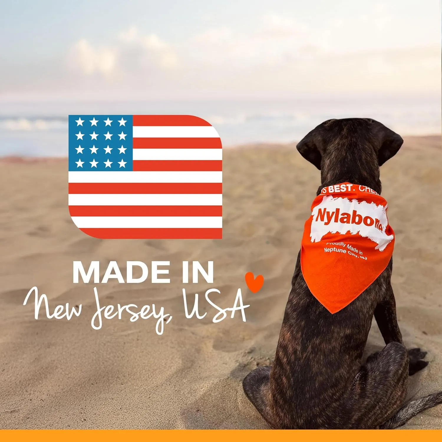 Nylabone Nubz Wild Natural Edible Chew Treats for Dogs, Made in USA, Bison Flavor, Small - Up to 25 lbs. (12 Count)