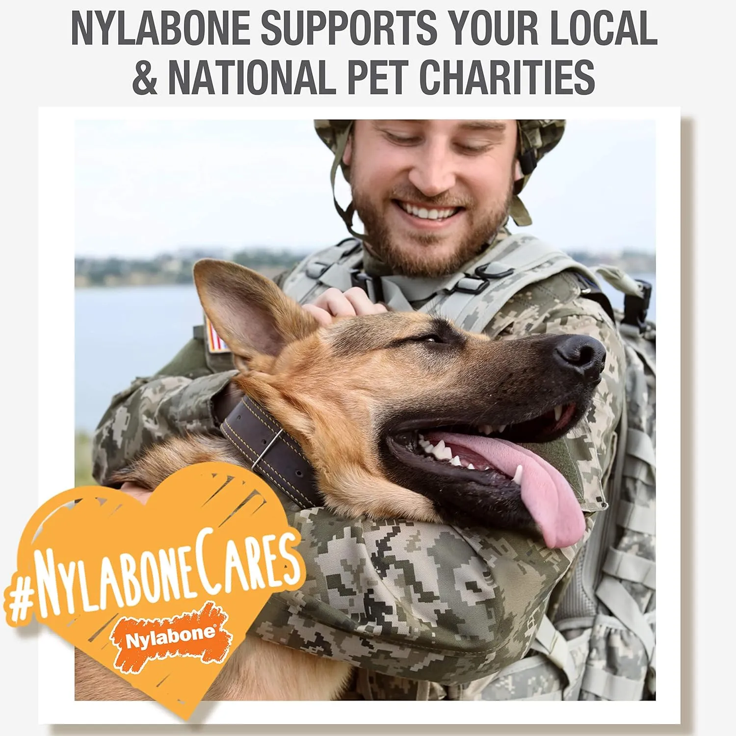 Nylabone Nubz Wild Natural Edible Chew Treats for Dogs, Made in USA, Bison Flavor, Small - Up to 25 lbs. (12 Count)