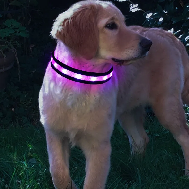 Nylon LED Pet Dog Collar,Night Safety Flashing Glow In The Dark Dog Leash,Dogs Luminous Fluorescent Collars Pet Supplies 4.7