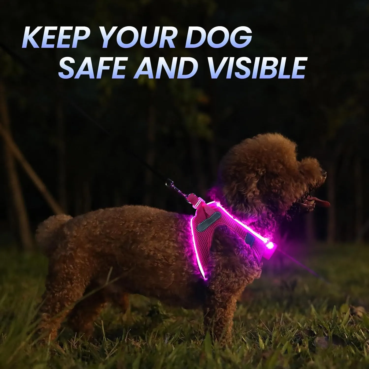 PceoTllar Light Up Dog Harness, LED No Pull Reflective Dog Harness, Flashing Lighted for Night Walking - Small/Medium, (Pink,L)