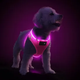 PceoTllar Light Up Dog Harness, LED No Pull Reflective Dog Harness, Flashing Lighted for Night Walking - Small/Medium, (Pink,L)