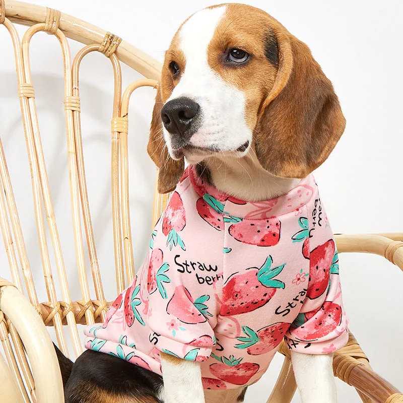 Pet dog clothes autumn cold-proof pet clothing