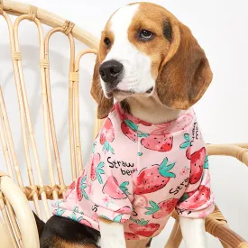 Pet dog clothes autumn cold-proof pet clothing